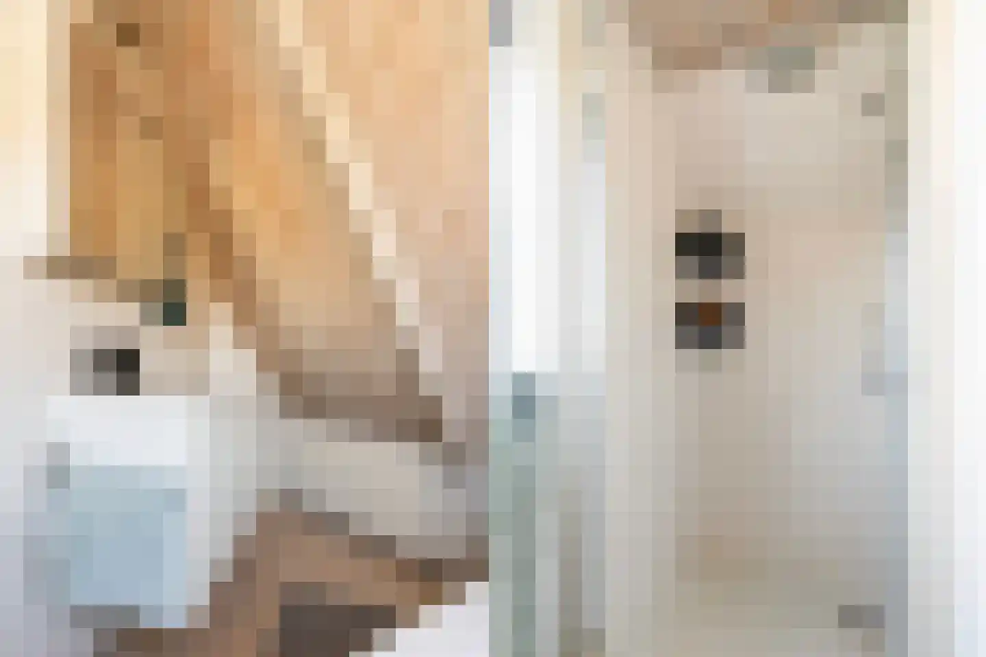 Haedstrjitte 68 Reduzum thumbnail 5