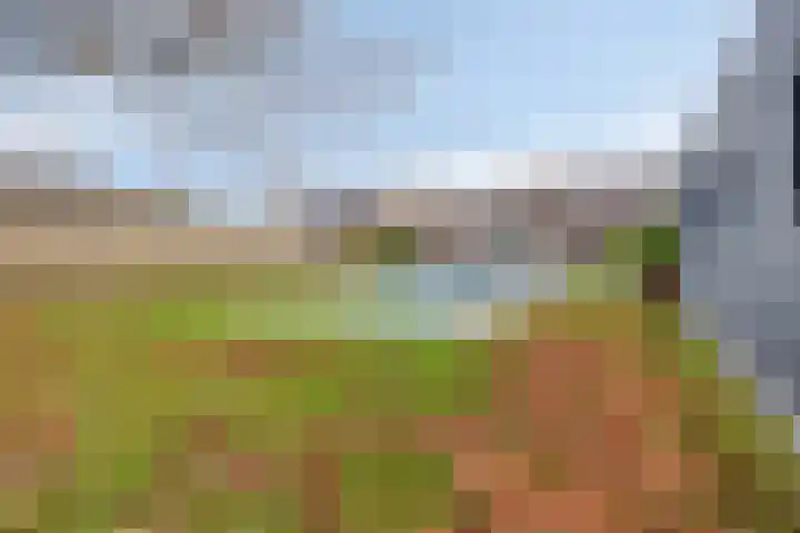 Haefland 22 Brunssum thumbnail 55