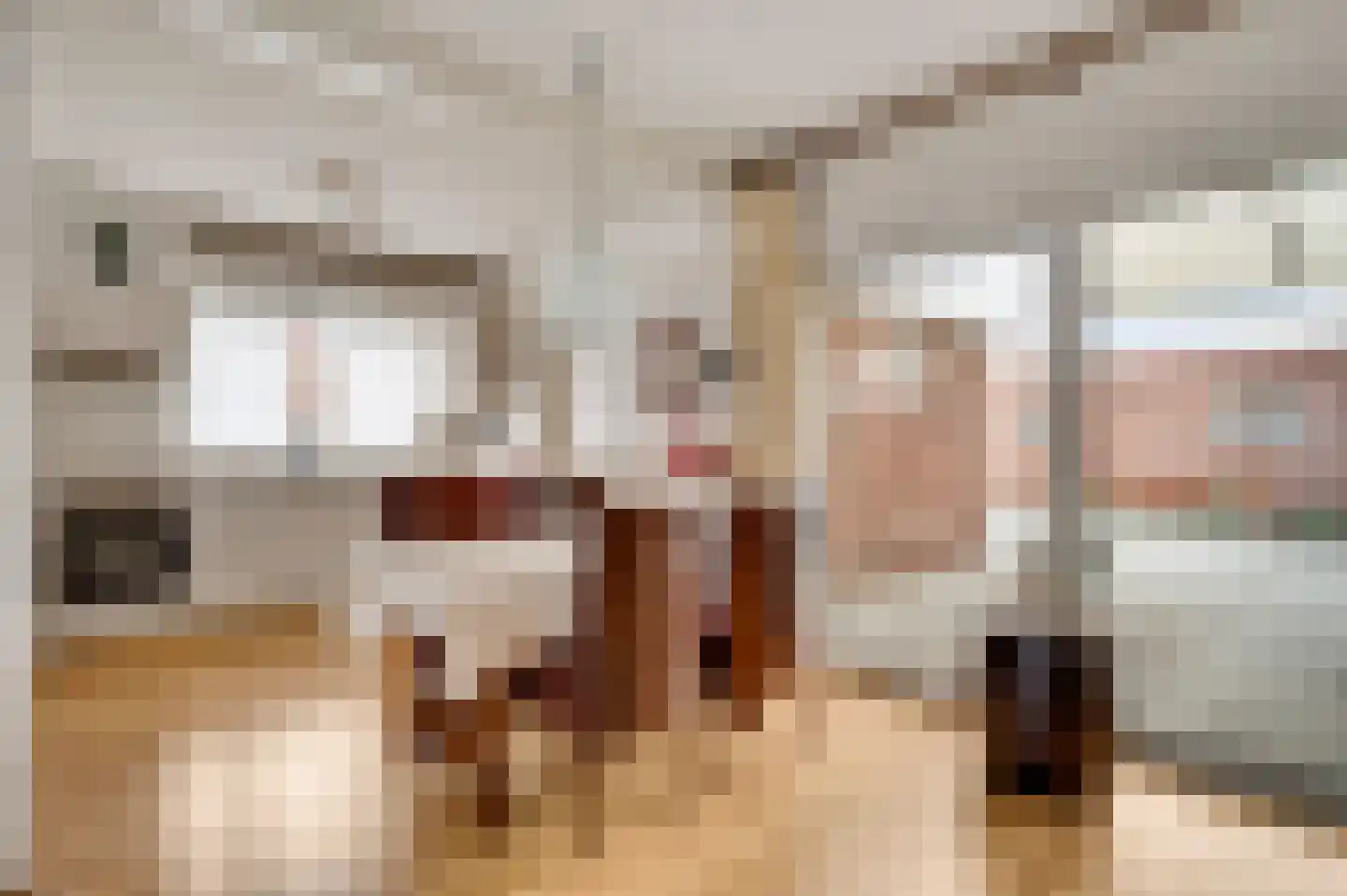 Haegstraat 28 Wessem thumbnail 10