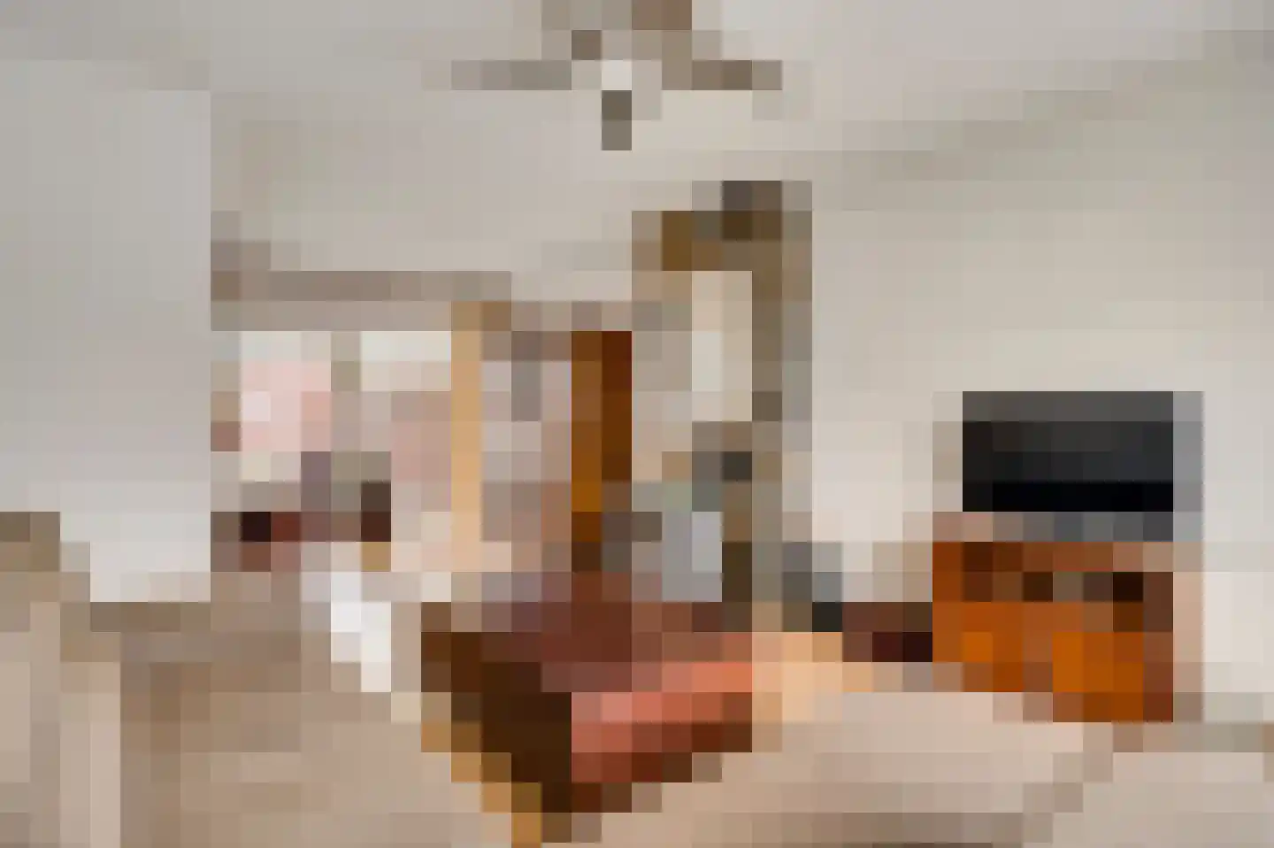 Haegstraat 28 Wessem thumbnail 9