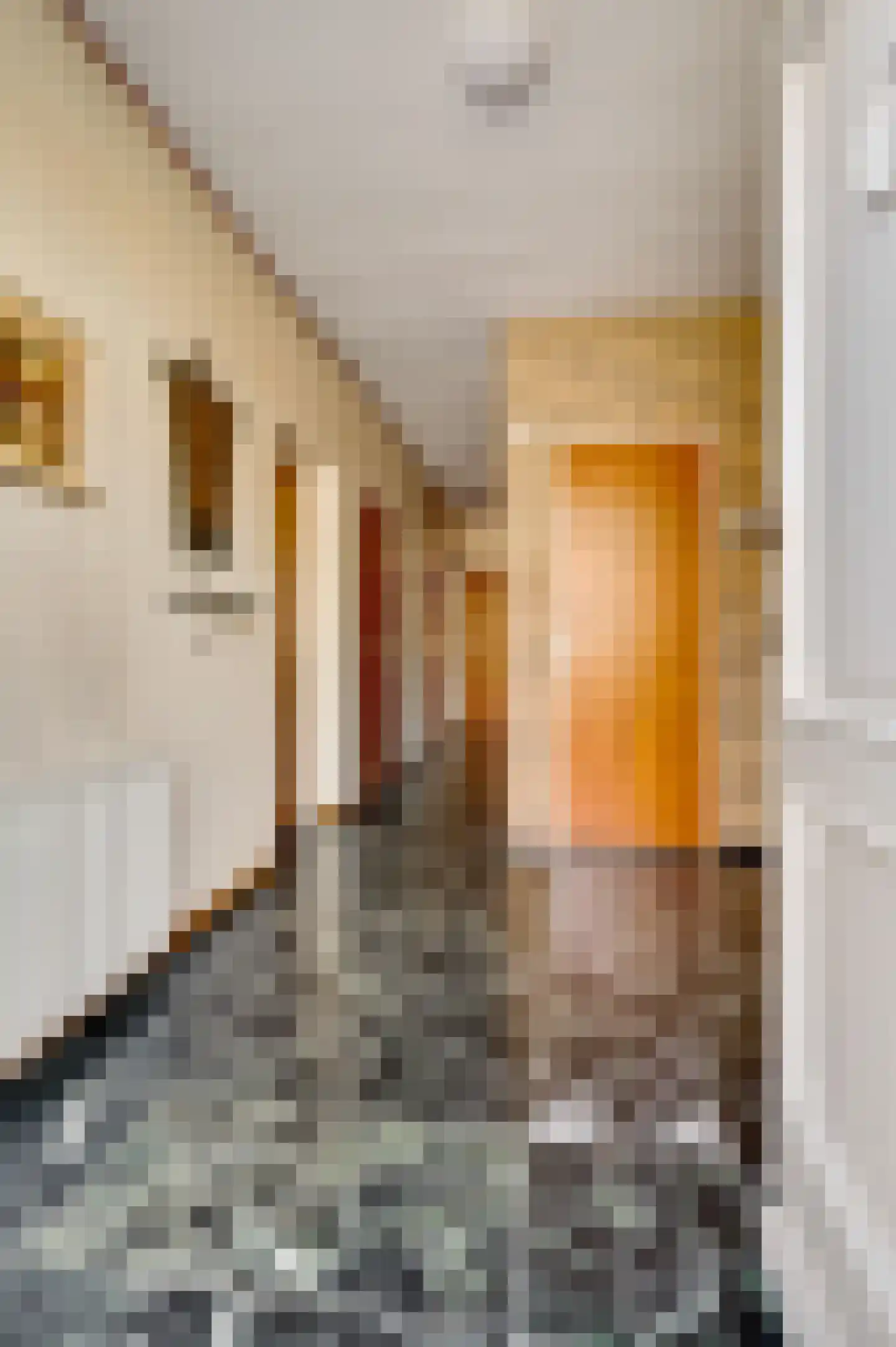 Haelenerweg 8 a Buggenum thumbnail 16