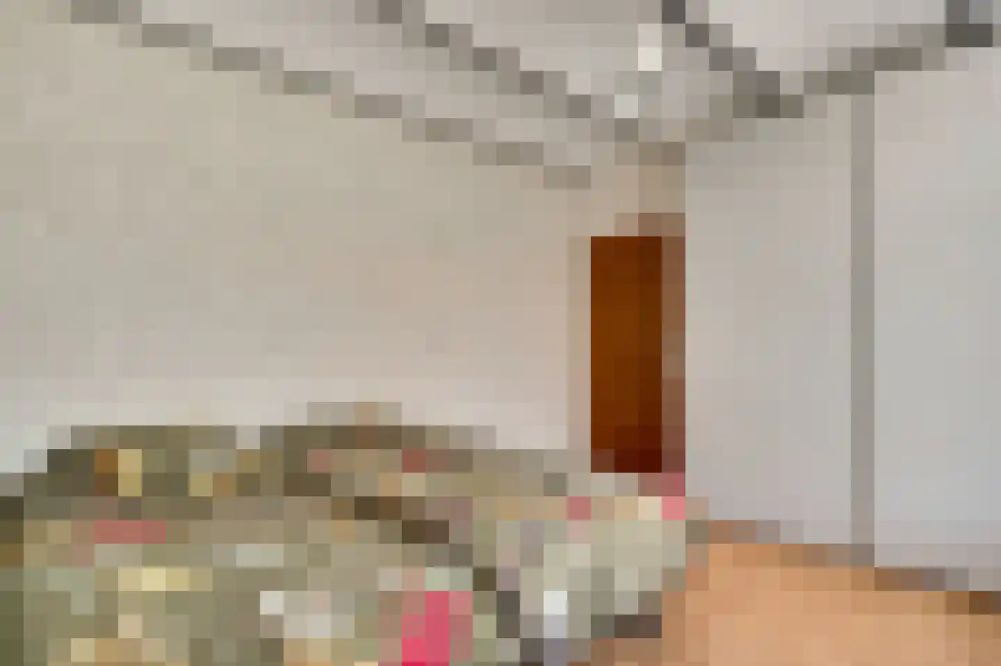 Haelenerweg 8 a Buggenum thumbnail 18