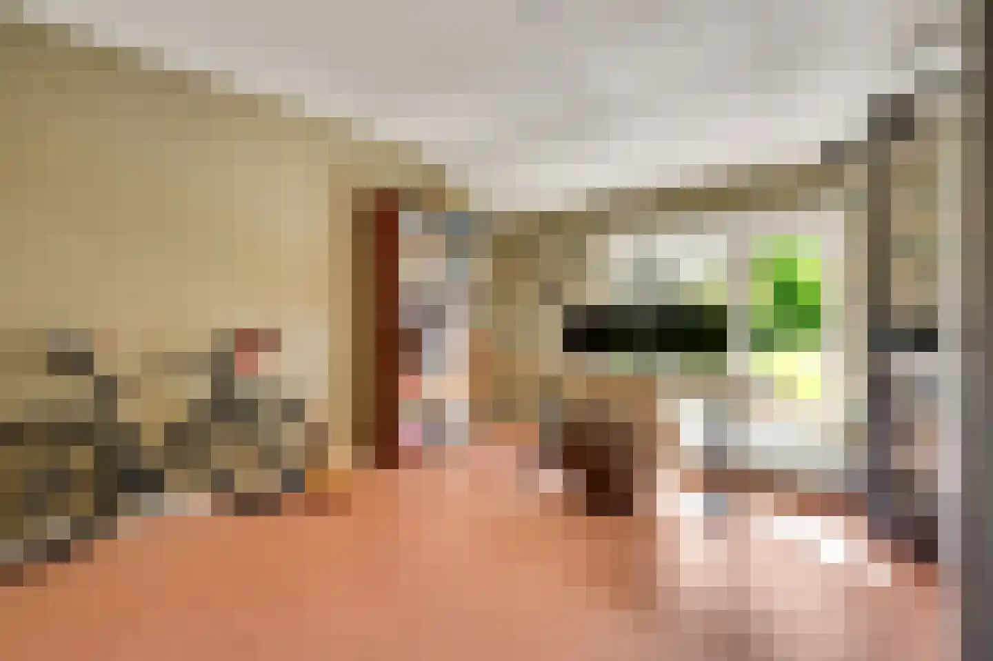 Haelenerweg 8 a Buggenum thumbnail 19