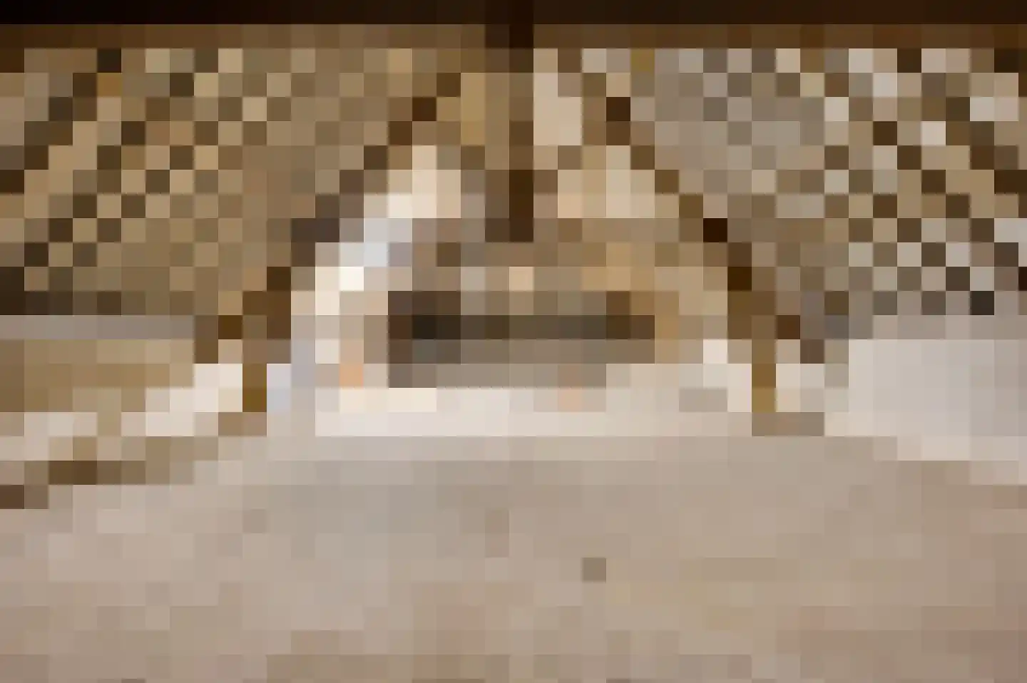 Haelenerweg 8 a Buggenum thumbnail 30