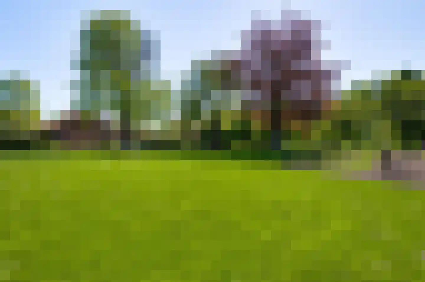 Haelenerweg 8 a Buggenum thumbnail 34