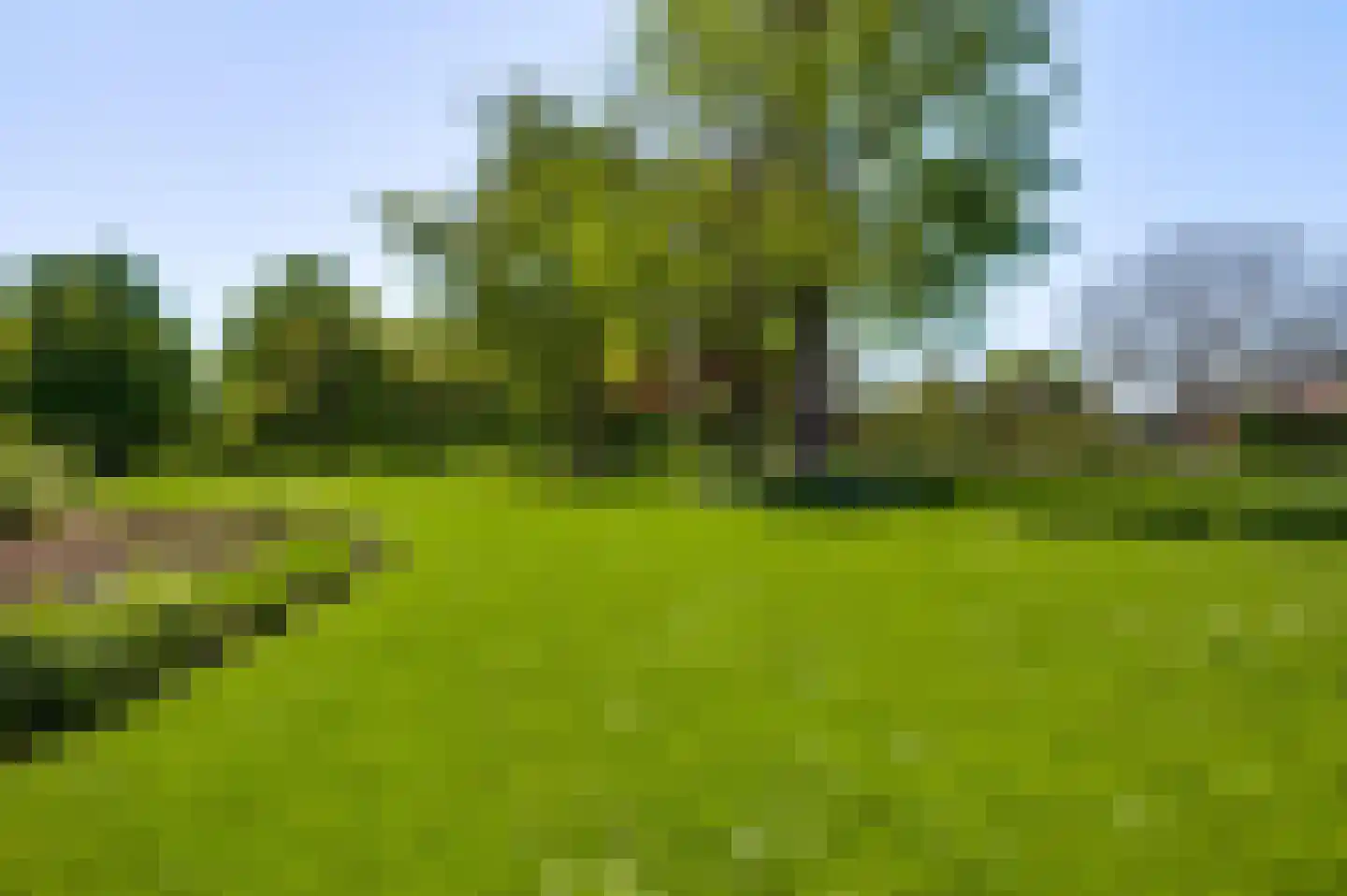Haelenerweg 8 a Buggenum thumbnail 35
