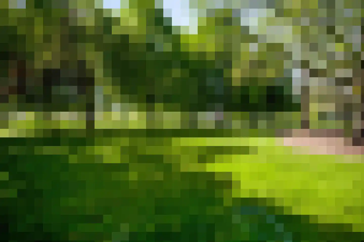 Haelenerweg 8 a Buggenum thumbnail 38