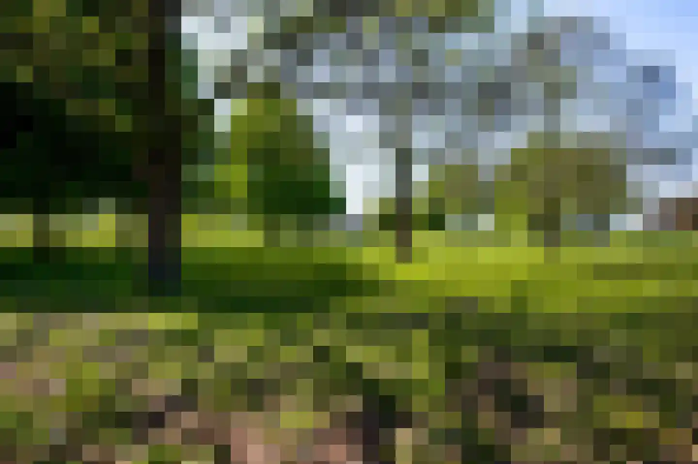 Haelenerweg 8 a Buggenum thumbnail 41