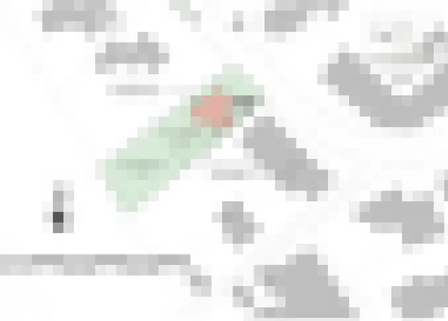 Haelenerweg 8 a Buggenum thumbnail 62