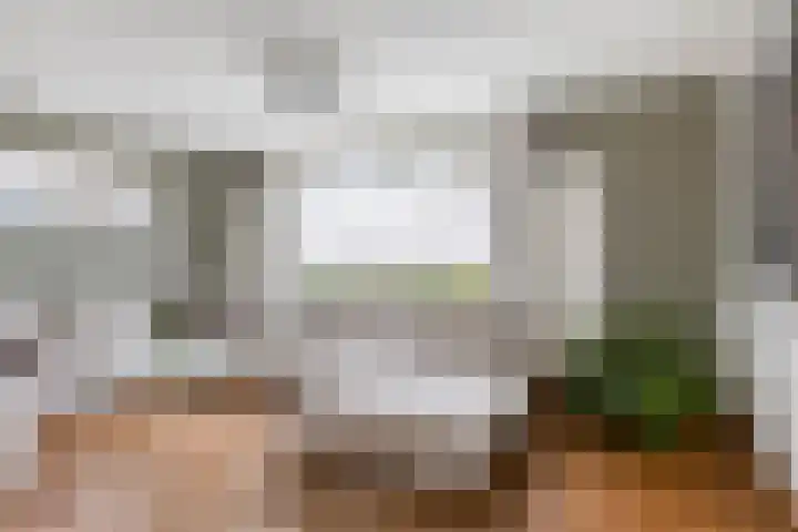 Haelerweg 4 Horn thumbnail 13