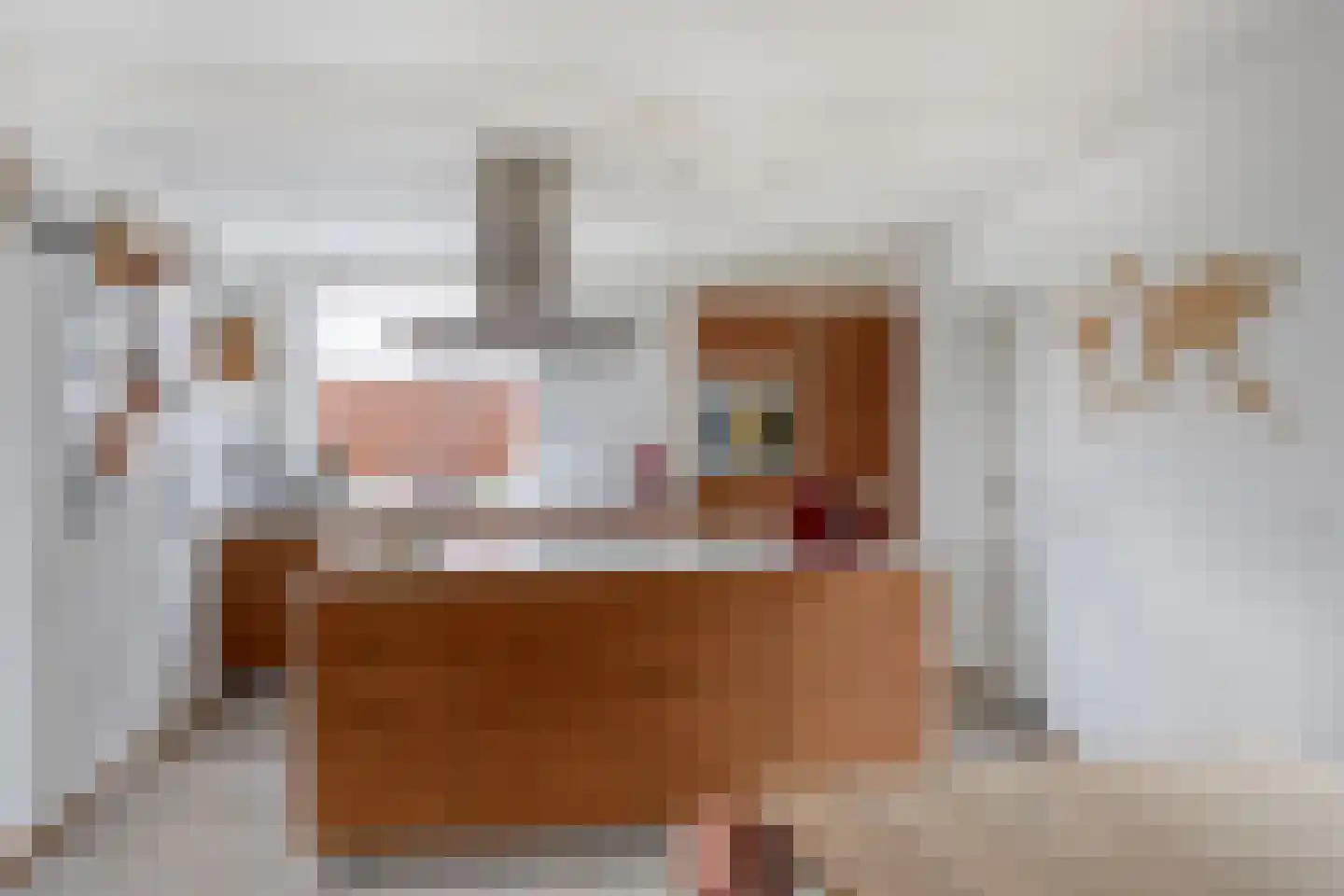 Haelerweg 4 Horn thumbnail 17