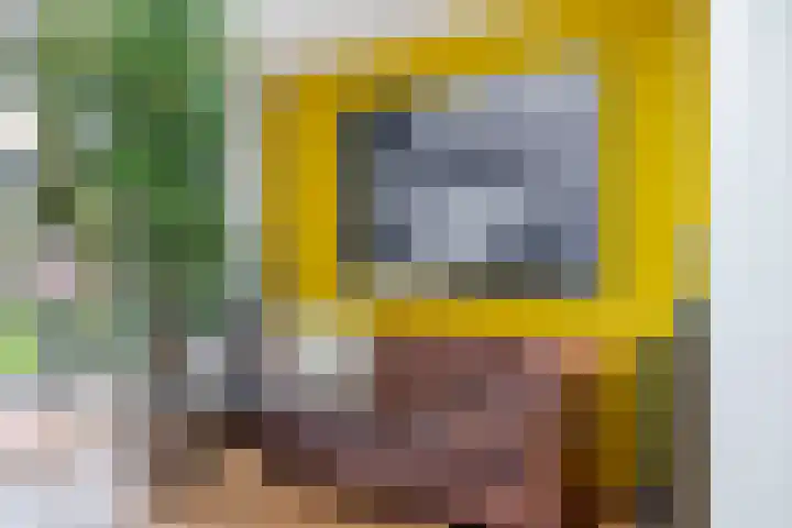 Haelerweg 4 Horn thumbnail 21