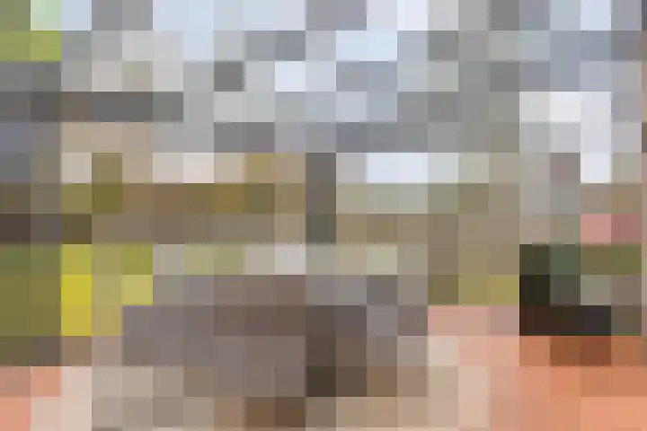 Haelerweg 4 Horn thumbnail 24