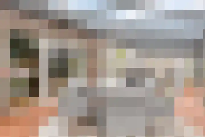 Haelerweg 4 Horn thumbnail 25