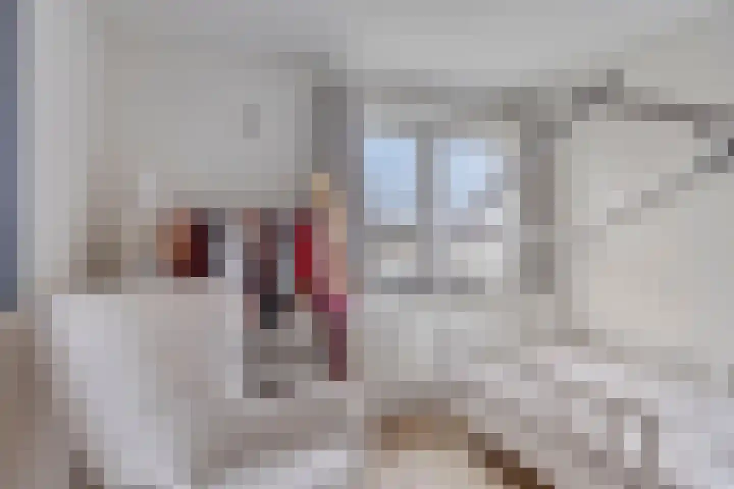 Haelerweg 4 Horn thumbnail 37