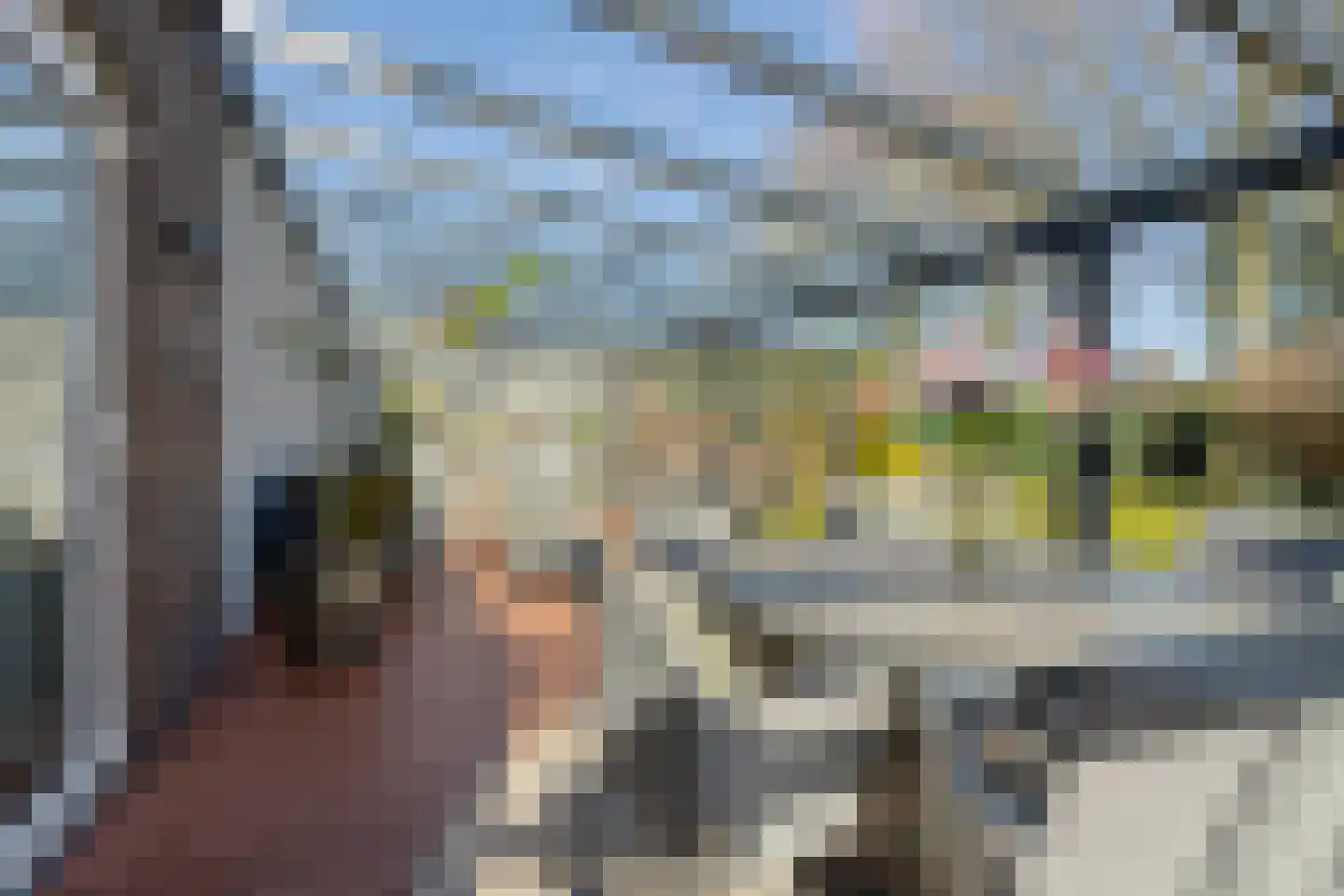 Haelerweg 4 Horn thumbnail 38