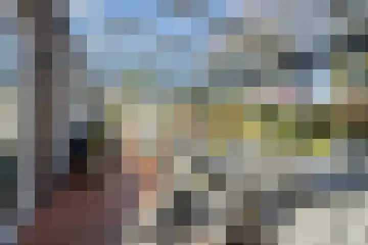 Haelerweg 4 Horn thumbnail 38