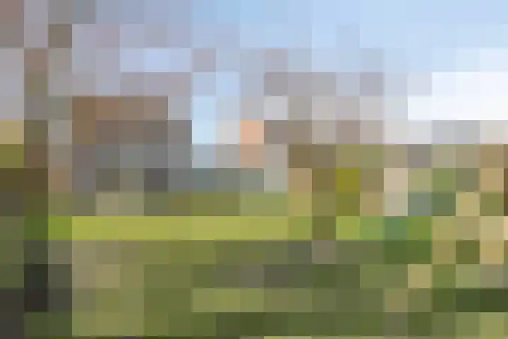 Haelerweg 4 Horn thumbnail 41