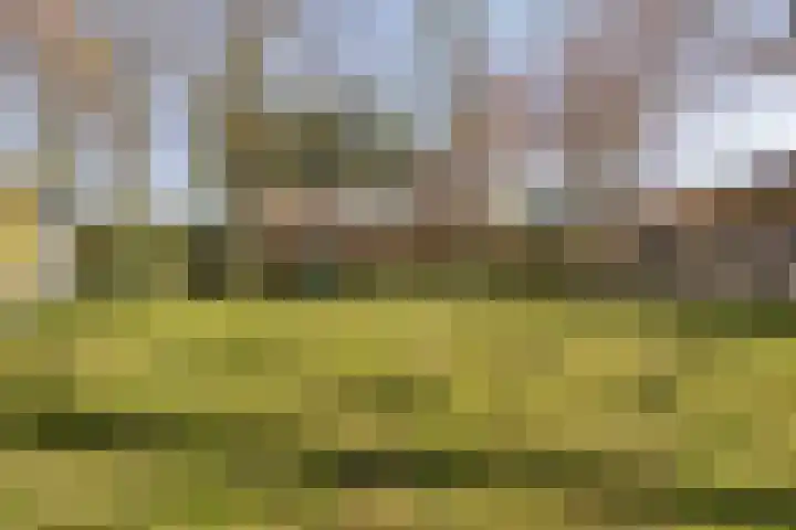 Haelerweg 4 Horn thumbnail 42