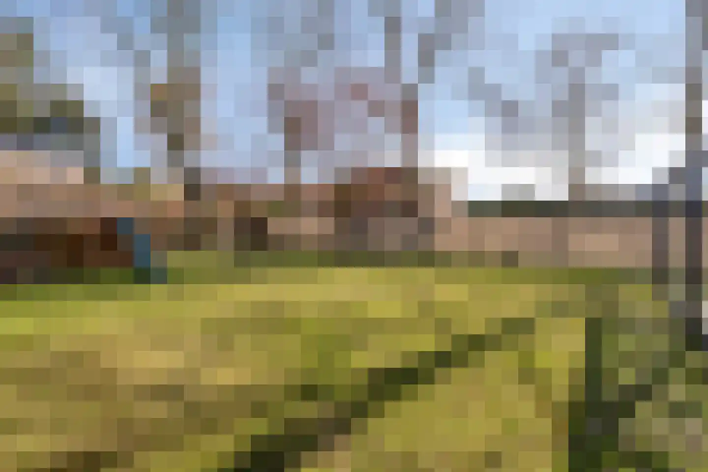 Haelerweg 4 Horn thumbnail 43