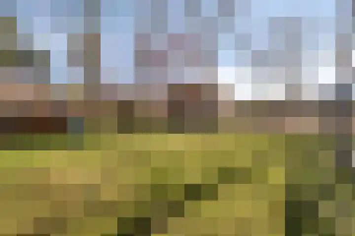 Haelerweg 4 Horn thumbnail 43