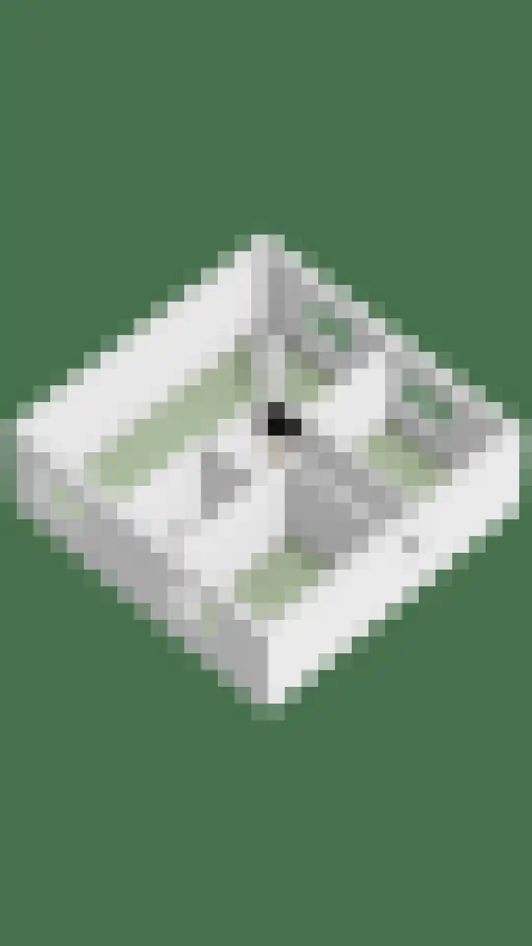 Haelerweg 4 Horn thumbnail 49