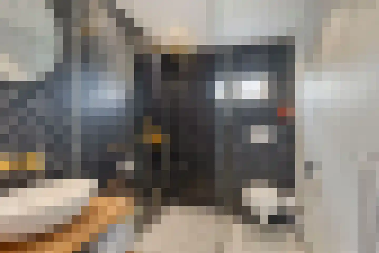 Haelerweg 4 Horn thumbnail 5