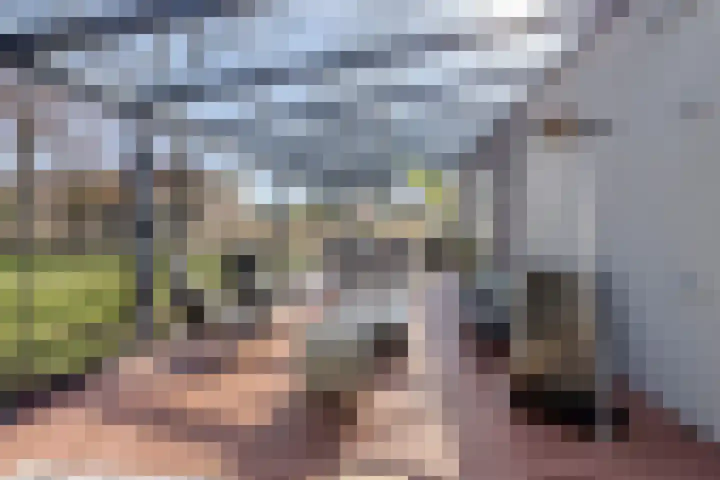 Haelerweg 4 Horn thumbnail 6