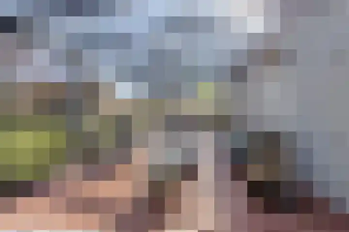 Haelerweg 4 Horn thumbnail 6