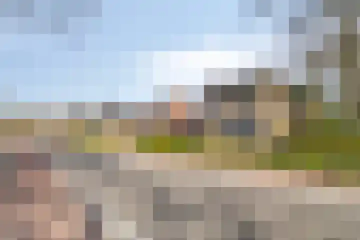 Haelerweg 4 Horn thumbnail 7