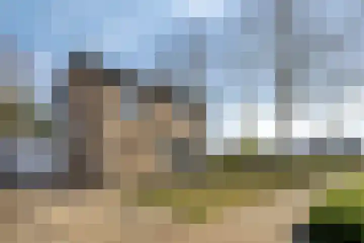 Haelerweg 4 Horn thumbnail 8