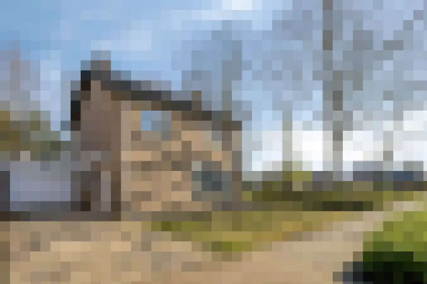Haelerweg 4 Horn thumbnail 8