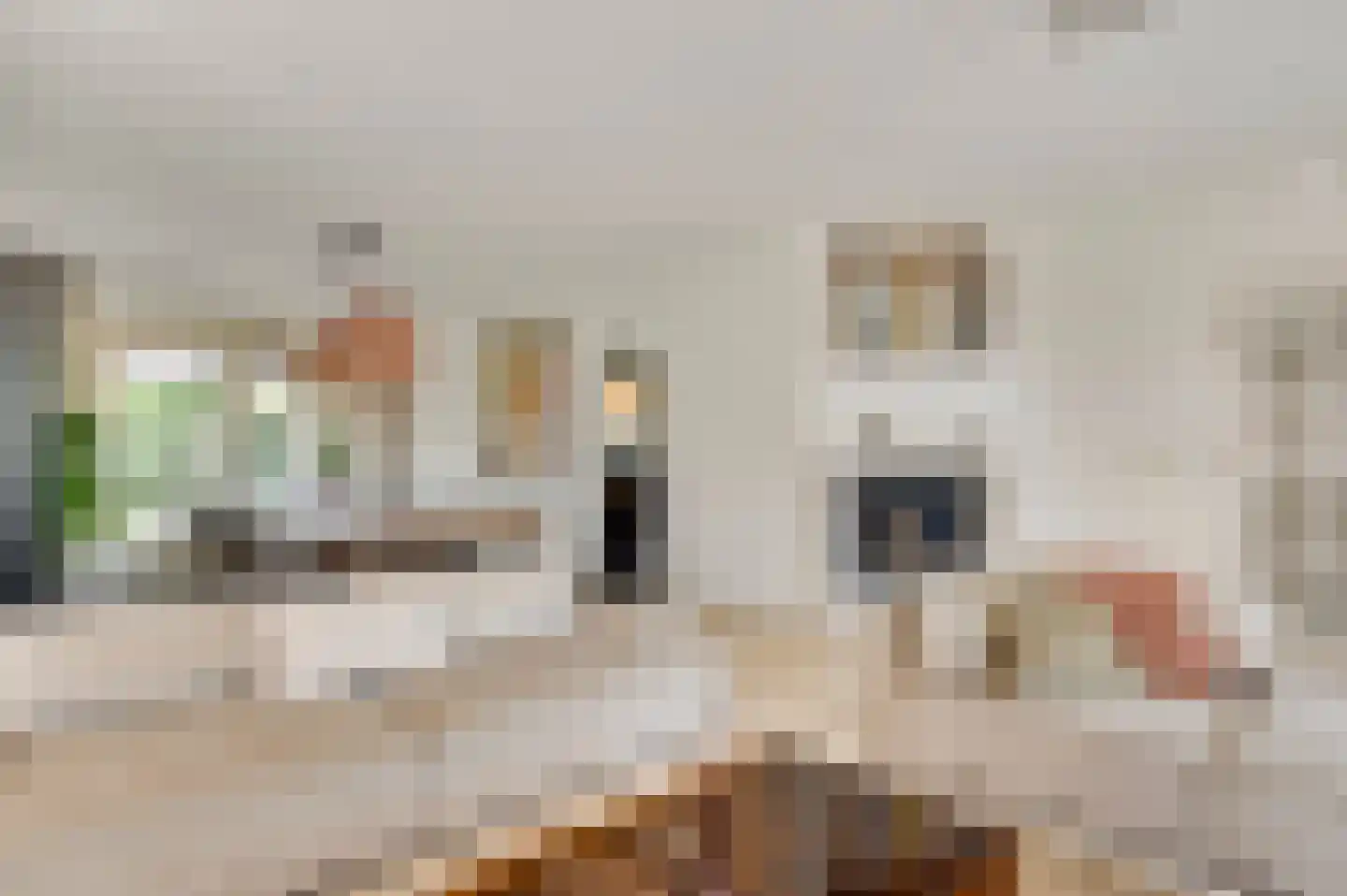 Haelerweg 7 Horn thumbnail 18