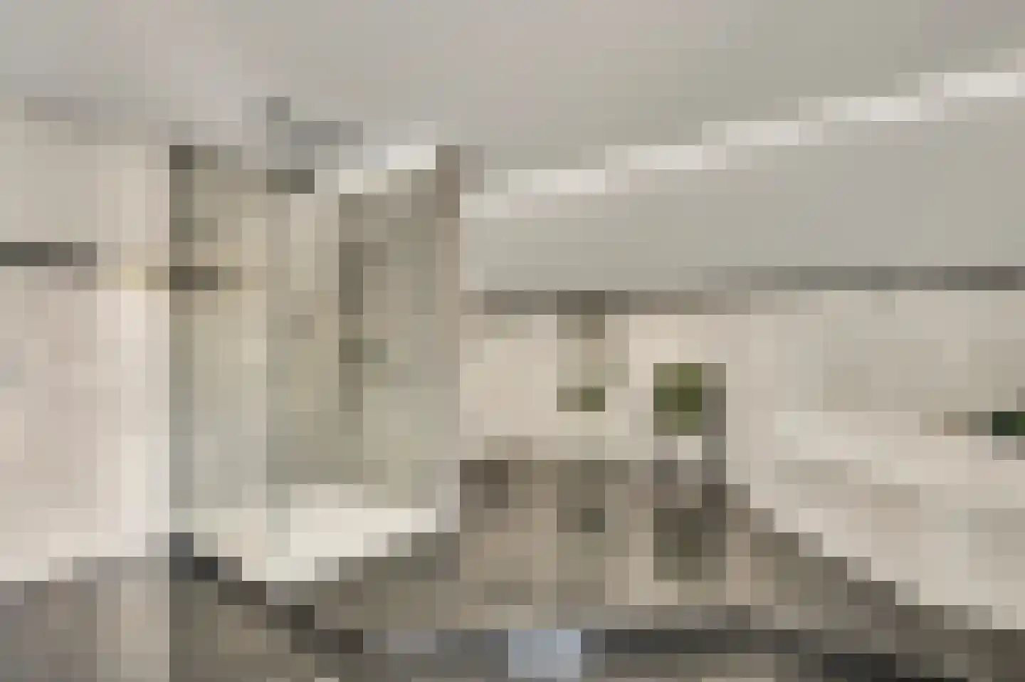 Haelerweg 7 Horn thumbnail 38