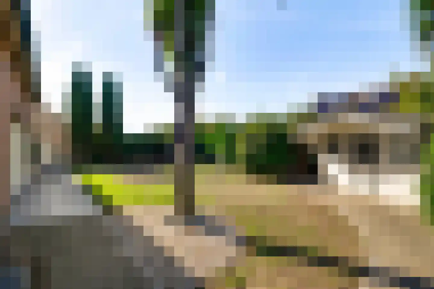 Haelerweg 7 Horn thumbnail 48