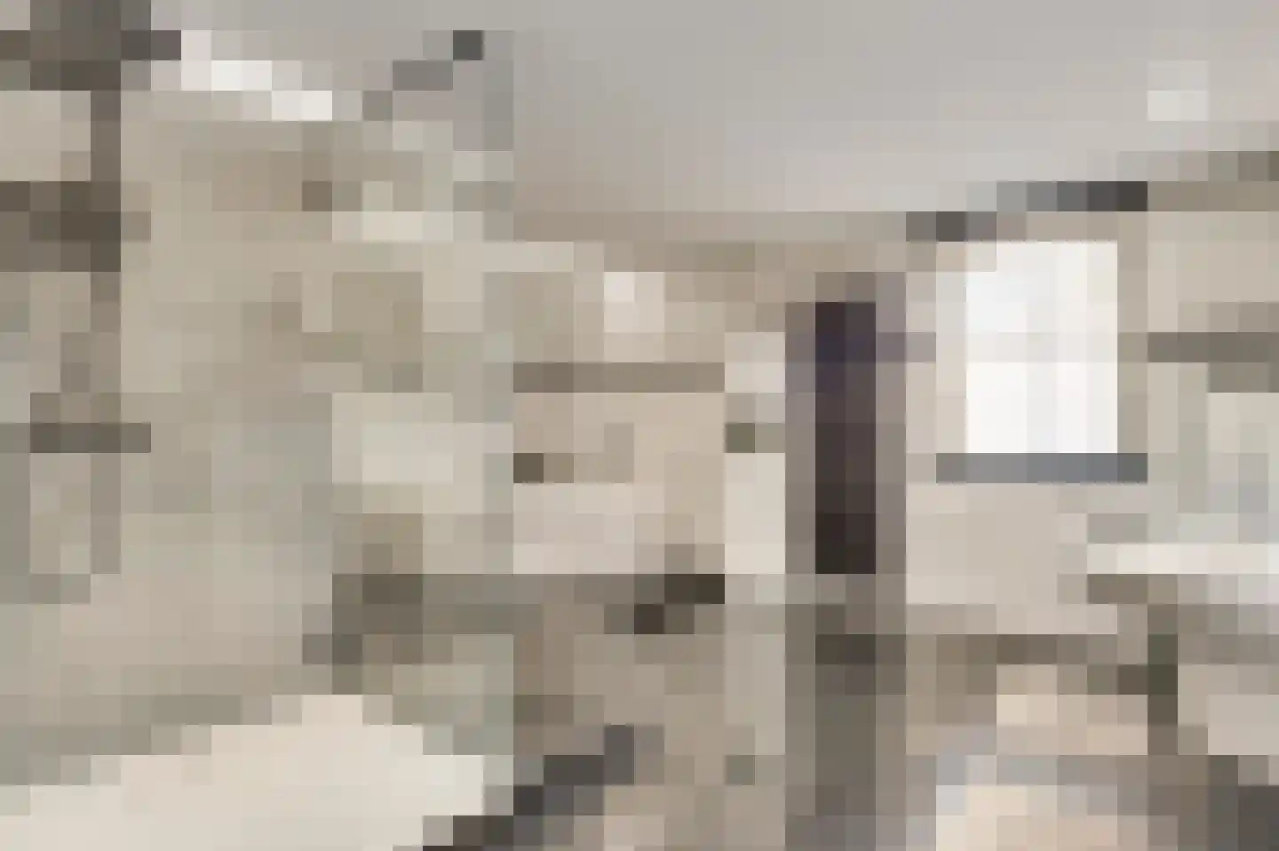Haelerweg 7 Horn thumbnail 5