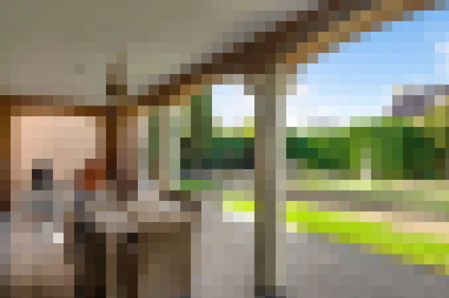 Haelerweg 7 Horn thumbnail 53