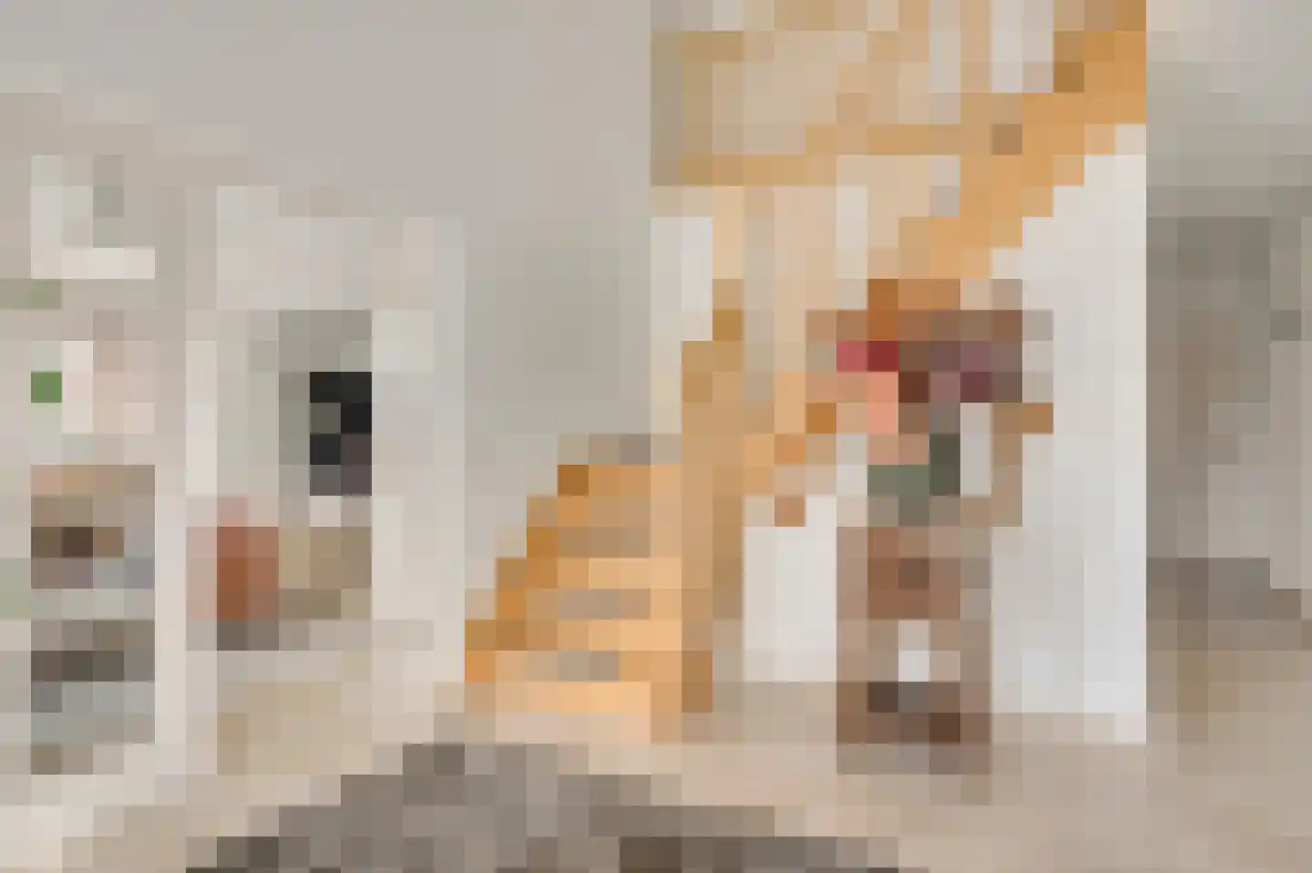 Haelerweg 7 Horn thumbnail 7