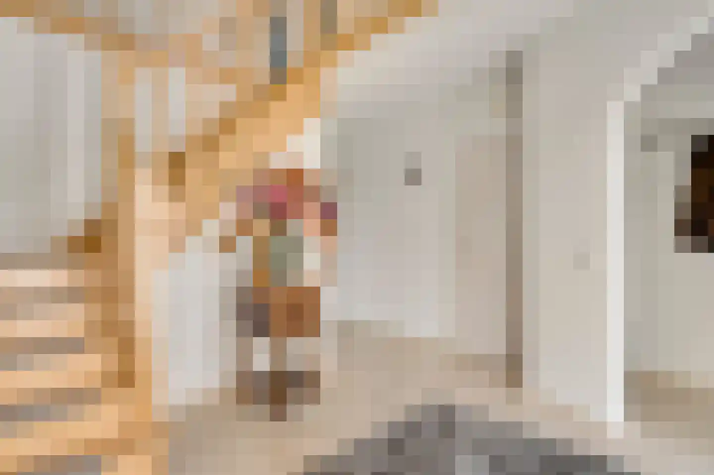 Haelerweg 7 Horn thumbnail 8