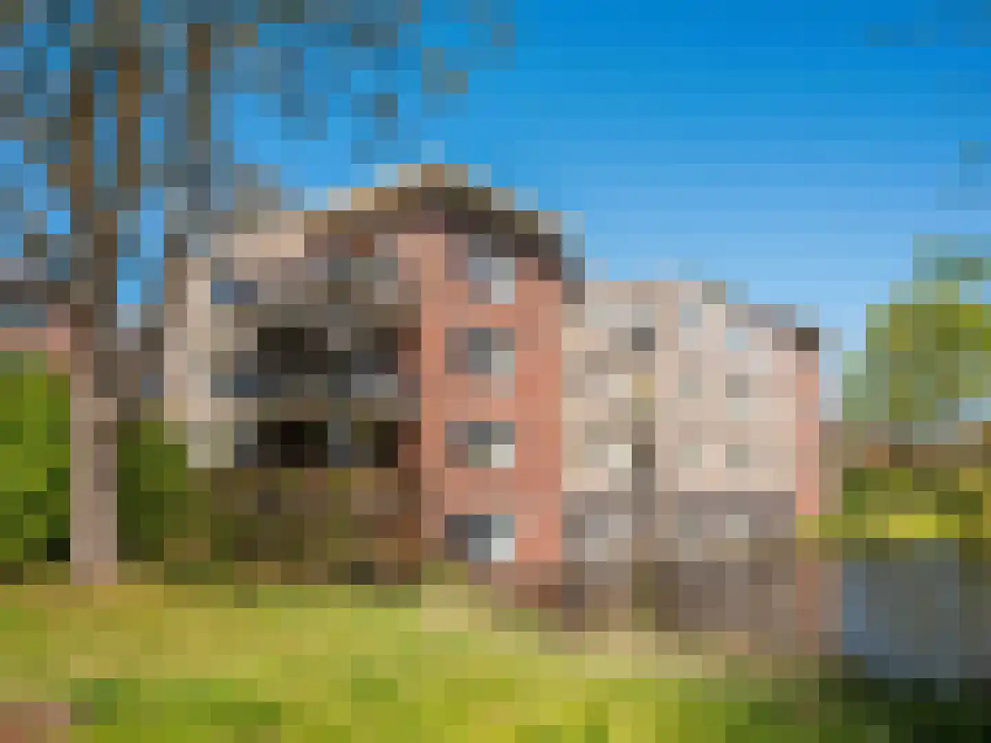 Haelkesteijn 1 B Bergen (NH) thumbnail 35