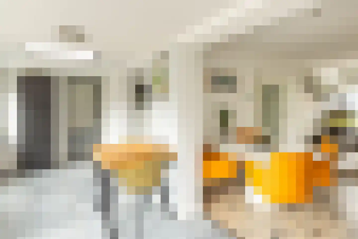 Haembuckersstraat 8 Simpelveld thumbnail 10