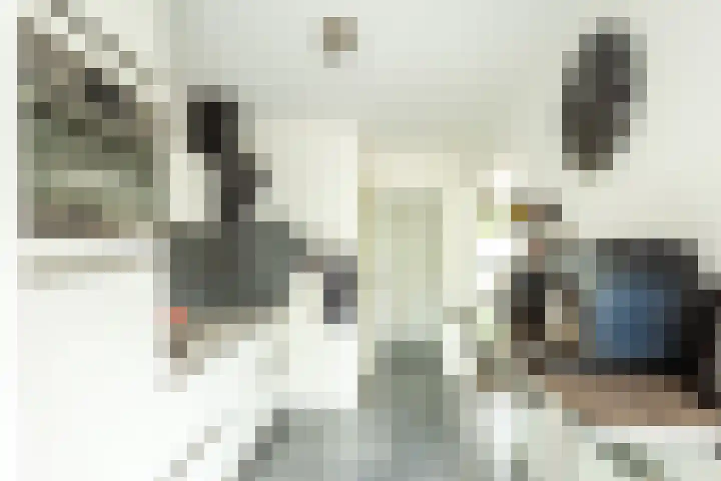 Haembuckersstraat 8 Simpelveld thumbnail 12
