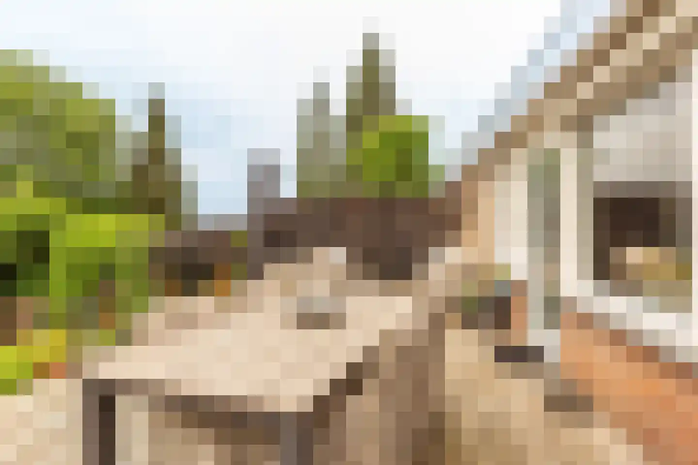 Haembuckersstraat 8 Simpelveld thumbnail 13