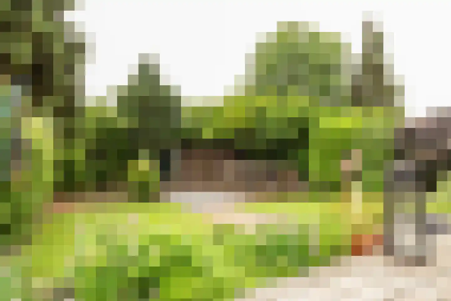 Haembuckersstraat 8 Simpelveld thumbnail 14