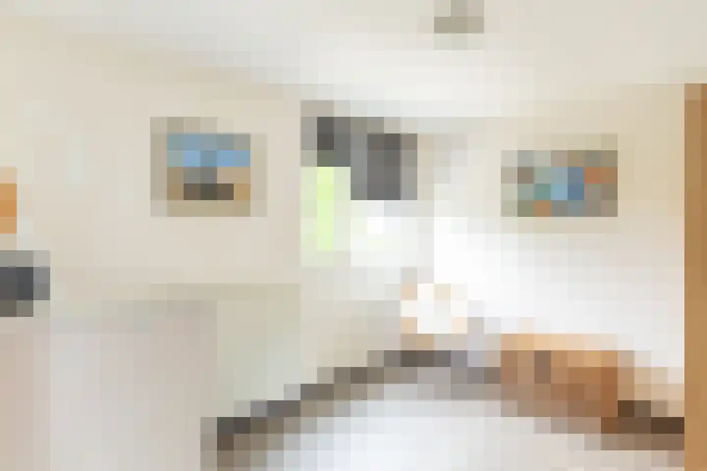 Haembuckersstraat 8 Simpelveld thumbnail 16