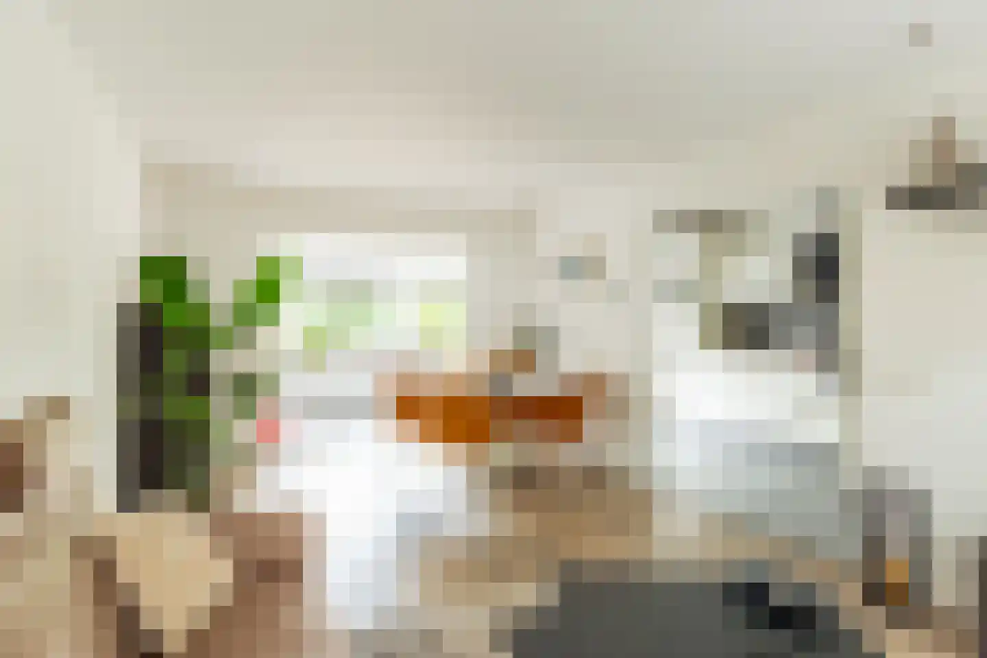 Haembuckersstraat 8 Simpelveld thumbnail 9