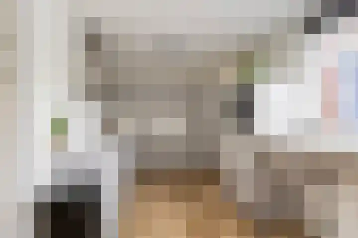 Haemstedehof 18 Vlaardingen thumbnail 15