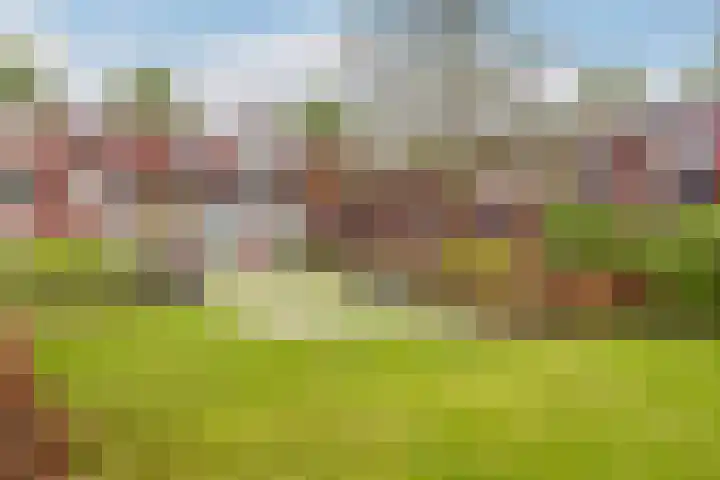 Haemstedehof 18 Vlaardingen thumbnail 20