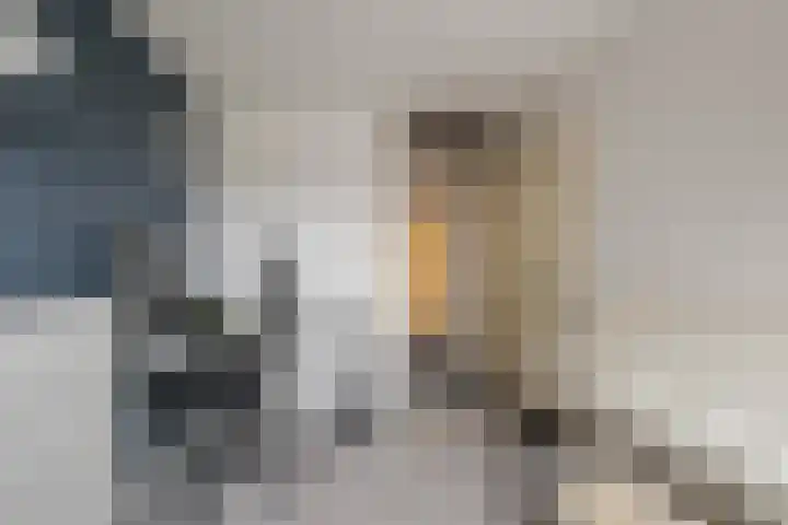 Haemstedehof 18 Vlaardingen thumbnail 31
