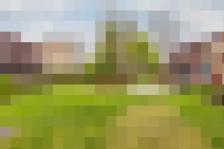 Haemstedehof 18 Vlaardingen thumbnail 51